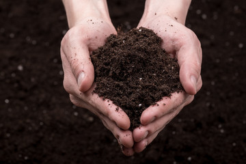 Soil in hands