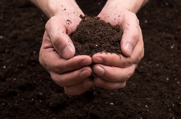 Soil in hands
