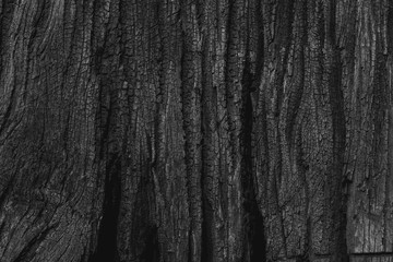Obraz premium Wood Dark background texture. Blank for design