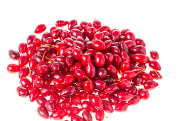 Ripe red dogwood berries. 