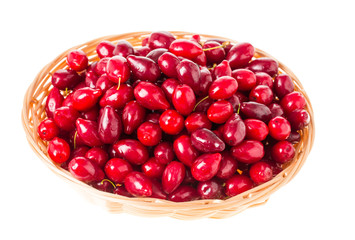 Wicker basket with red dogwood berries.