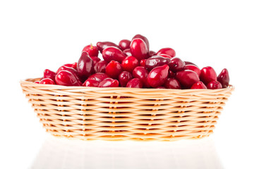 Wicker basket with red dogwood berries.