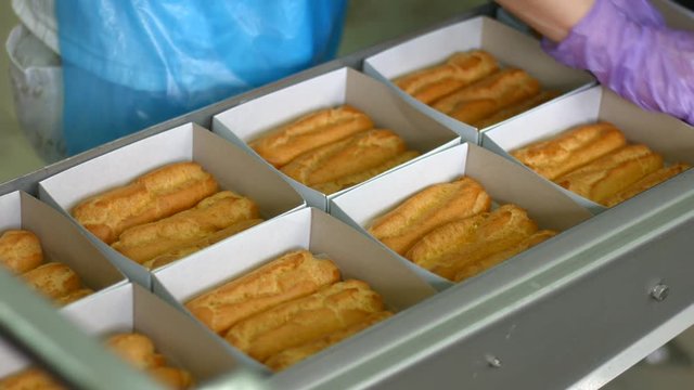 Eclair boxes on conveyor line. Confectioner's hands working with eclairs. Machinery is not enough. Marketable condition means a lot.