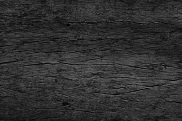 Wood Dark background texture. Blank for design