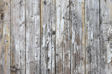 Background of wood. Fence from old boards with shabby paint.