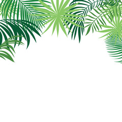 Fototapeta na wymiar tropical palm leaves banner