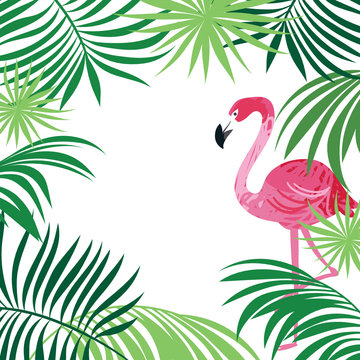 tropical leaves frame with flamingo