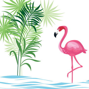tropical illustration with flamingo