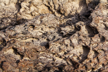 Close up of texture on a rock