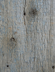 old wooden board. wooden fence. wood texture