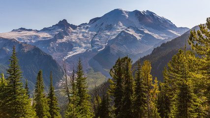 Beautiful fir trees on a background of snowy mountains. Mount Rainier, Sunrise Area SHADOW LAKE TRAIL