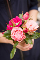 Closeup of a beautiful bouquet of pink roses in woman's hands. Dark background. Fresh flowers as a present from a garden.