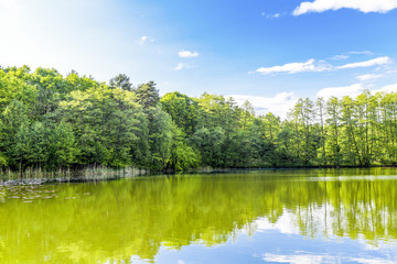 Großer Lienewitzsee bei Michendorf