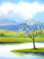 Watercolor landscape. Flowering pink tree by the lake