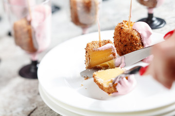 Fried cheese snack. Stock Image