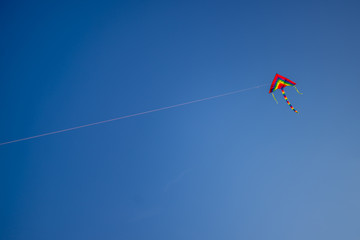 Fototapeta na wymiar Coloured kite on a background of blue sky. Space for text