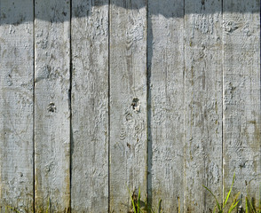 Vertical painted planks - background. White color.