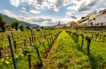 Panorama of Wachau valley, World Heritage Site (UNESCO)