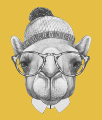 Portrait of Camel with hat and glasses Hand drawn illustration.