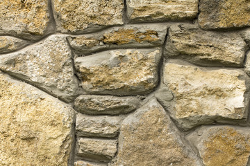 Texture of coquina, limestone