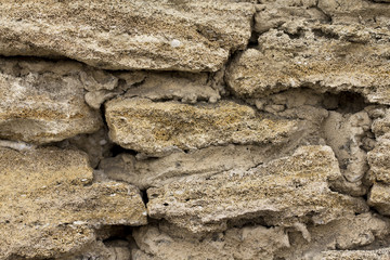 Texture of coquina, limestone