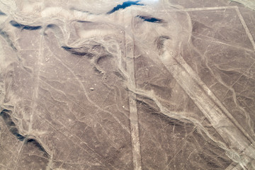 Aerial view of geoglyphs near Nazca - famous Nazca Lines, Peru. On the right side, part of Whale figure visible.