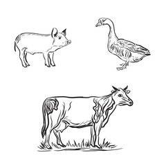 farm animals, sketch style, vector illustration