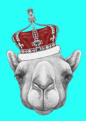 Portrait of Camel with crown. Hand drawn illustration.