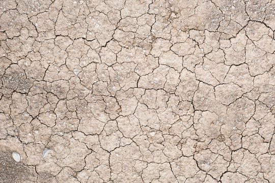 Cracked soil