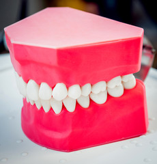 Dentures on the table