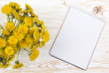 Dandelion flowers on the wooden background