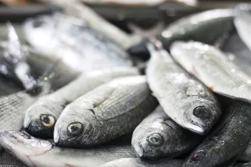 Fototapeten Closeup view of frozen fish at market © Anna Jurkovska