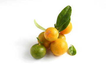 Kumquat on white background