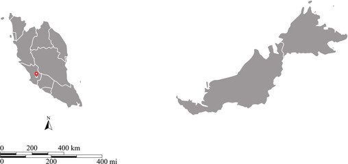 Malaysia map vector outline with scales of miles and kilometers in gray background