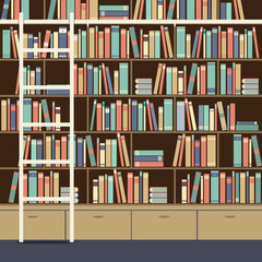 Bookcase With Ladder Vector Illustration.