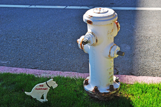 San Francisco, California: un invito a raccogliere i bisogni dei cani in un giardino nel quartiere di Buena Vista il 13 giugno 2010