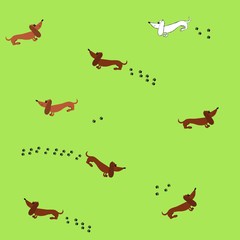 Seamless pattern with dachshund dogs. The pattern for packing of gifts, tiles fabrics backgrounds. Sample for the website. Vector illustration