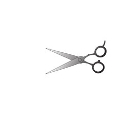Professional Hair cutting Scissors icon,vector illustration.