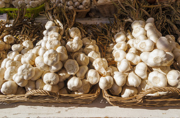 Garlic at Farmers Market