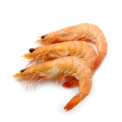 Shrimps isolated on white background