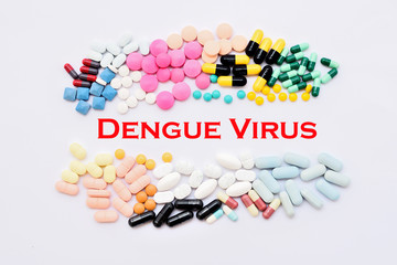 Dengue virus treatment