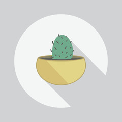 Icon flower. Cactus pot vector illustration of isolated backgrou
