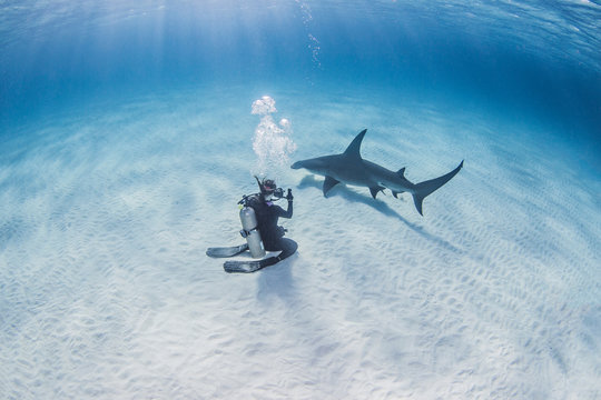 Scuba diver taking pictures of shark underwater