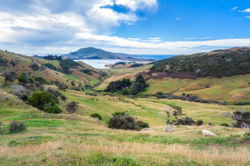 Fototapeta na wymiar The Otago Peninsula New Zealand