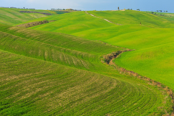 Fototapeta na wymiar Tuscany landscape
