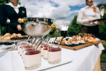 catering services in restaurant outdoor on wedding ceremony in the park. Food and glass of champagne