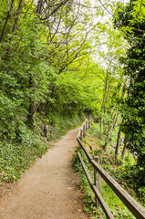 Algund, Algunder Waalweg, Waalweg, Spazierweg, Waldweg, Vinschgau, Wanderweg, Frühling, Südtirol, Italien