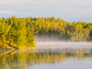 morning fog and reflections