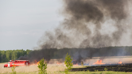 Fototapeta premium CHELYABINSK, RUSSIA - May 15, 2015: fire truck puts out in a field a forest fire