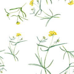 Pattern yellow flowers. Drawing watercolor. Small grasses and wildflowers